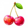 Two red cherries held together by a green branch Royalty Free Stock Photo