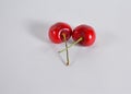 Two red cherries intertwine Royalty Free Stock Photo