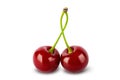 Two red cherries isolated on white background Royalty Free Stock Photo