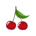 Two red cherries on stem Royalty Free Stock Photo