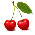 Two red cherry berries with leaf. Royalty Free Stock Photo
