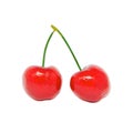 Two red cherry berry isolated white background Royalty Free Stock Photo