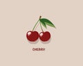 Two red cherry with green leaf Royalty Free Stock Photo