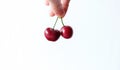 Two red cherry in hand on white background Royalty Free Stock Photo