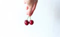 Two red cherry in hand on white background Royalty Free Stock Photo