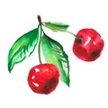 Two red cherry illustration. Royalty Free Stock Photo