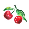 Two red cherry illustration. Royalty Free Stock Photo