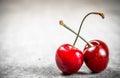 Two red cherry. Royalty Free Stock Photo