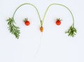 Red cherry tomatoes and a tiny carrot with long green leaves forming a funny face on white surface Royalty Free Stock Photo