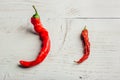 Two red chili peppers, on wooden background Royalty Free Stock Photo