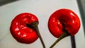 Two red chilli in circle. Funny red chilli. Red Chille images Royalty Free Stock Photo