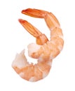 Two red cooked prawn or tiger shrimp isolated on white background Royalty Free Stock Photo