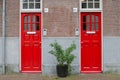 Two red doors on the facade of the house. Big street flowerpot with green plant. Amsterdam Oost. East side neighbourhoods