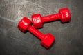 Two red dumbbells in a silicone latex shell lie on the gray floor in the center