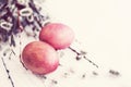 Two red Easter eggs and spring fluffy willow branches on a wooden white surface, closeup