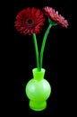 Two red gerber in green vase Royalty Free Stock Photo