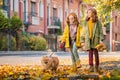 Two red-haired girls are walking down the street on a sunny autumn day. Walking with a small fluffy Pomeranian dog Royalty Free Stock Photo