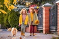 Two red-haired girls are walking down the street on a sunny autumn day. Walking with a small fluffy Pomeranian dog Royalty Free Stock Photo