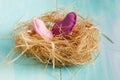 Two red hearts in a bird nest on wooden board Royalty Free Stock Photo