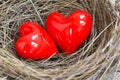 Two red hearts in a bird nest Royalty Free Stock Photo