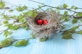 Two red hearts in a cozy nest against the background of foliage. Royalty Free Stock Photo