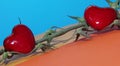 Two red hearts on an empty branch from cherry tomatoes on a blue orange yellow background Royalty Free Stock Photo