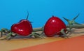 Two red hearts on an empty branch from cherry tomatoes on a blue orange yellow background Royalty Free Stock Photo