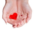 Two red hearts in female handful isolated Royalty Free Stock Photo