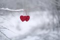 Two red hearts hang on a snowy winter tree branch, valentine`s day card, love concept