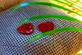 Two red hearts and palm leaves on decorative pillows and hammock background