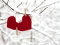 Two red hearts together hanging on snowy branch. Close-up. Copy space