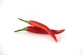 Two red hot chili pepper isolated on the white background. Selective focus. Royalty Free Stock Photo