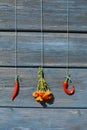 Two red hot chili peppers and marigold calendula bunch on old wall Royalty Free Stock Photo