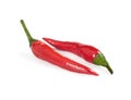 Two red hot chilli pepper Royalty Free Stock Photo