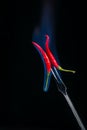 Two red hot chilli peppers on a fork in a blue flame on a black background Royalty Free Stock Photo