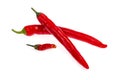 Two red hot chilli peppers isolated on white background Royalty Free Stock Photo