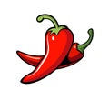 Two red hot peppers vector illustration. Royalty Free Stock Photo