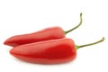 Two red jalapeno peppers `capsicum` Royalty Free Stock Photo