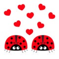 Two red lady bug ladybird icon set couple with hearts. Happy Valentines Day. Cute cartoon kawaii funny baby character. Love Royalty Free Stock Photo