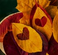 Two love hearts on colorful autumn leaves Royalty Free Stock Photo