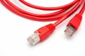 Two red network cables isolated Royalty Free Stock Photo