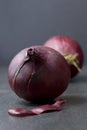 Two Red onions on a dark background Royalty Free Stock Photo