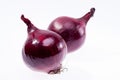 Two red onions isolated on white background closeup Royalty Free Stock Photo