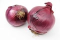 Two red onions isolated on white background Royalty Free Stock Photo