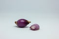 two red onions in the photo with a white background Royalty Free Stock Photo