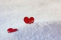 Two red paper heart stand side by side in the snow
