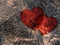 Two red paper hearts on a grungy wooden background