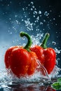 Two red peppers are splashed with water Royalty Free Stock Photo
