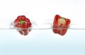 Two red peppers splashing in water Royalty Free Stock Photo