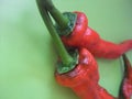 Two red peppers Royalty Free Stock Photo